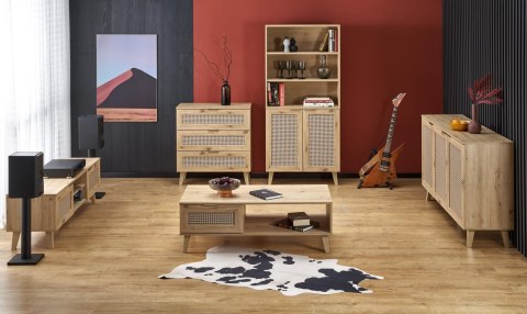 BORNEO RTV-1 stolik RTV dąb artisan/czarny