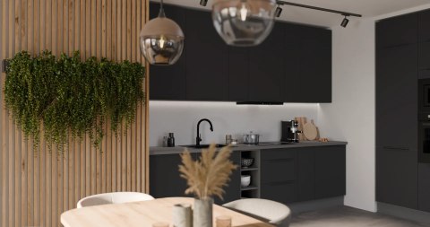 Szafka kuchenna 80 ZL 1S BB - Aria | Stolarz-Lempert