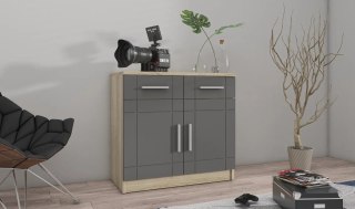 Komoda Paris 2F2S - grafit / dąb Sonoma | Stolarz-Lempert