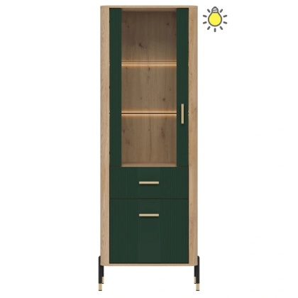 DANTE DT13 WITRYNA L/P - zielony mat