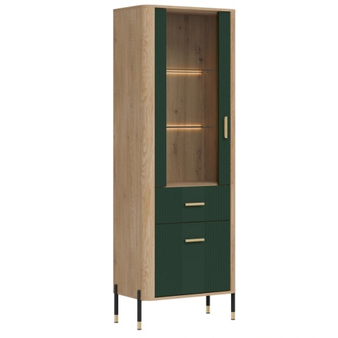 DANTE DT13 WITRYNA L/P - zielony mat